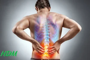 Phân biệt 4 vị trí đau lưng nguy hiểm và cách xử lý kịp thời