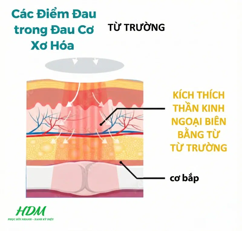 Nguyên Lý Cảm Ứng Điện Từ Xuyên Thấu Sâu