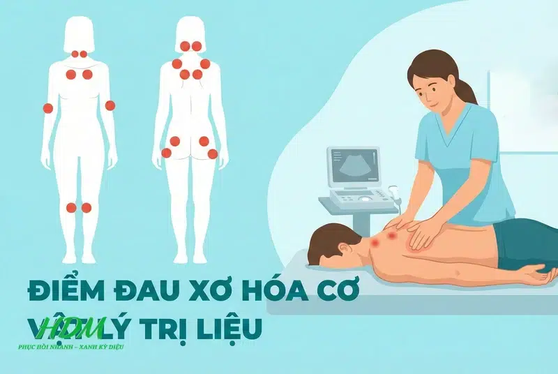 Quản Lý Hội Chứng Đau Xơ Cơ Và Rối Loạn Giấc Ngủ
